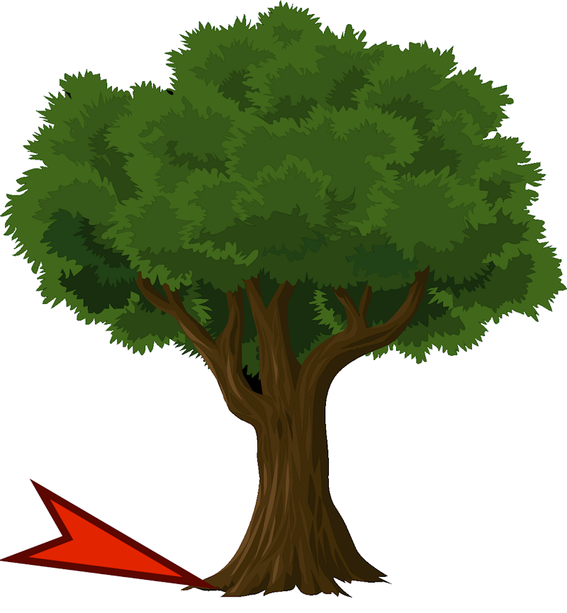 Tín